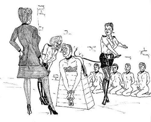 lady carole o47