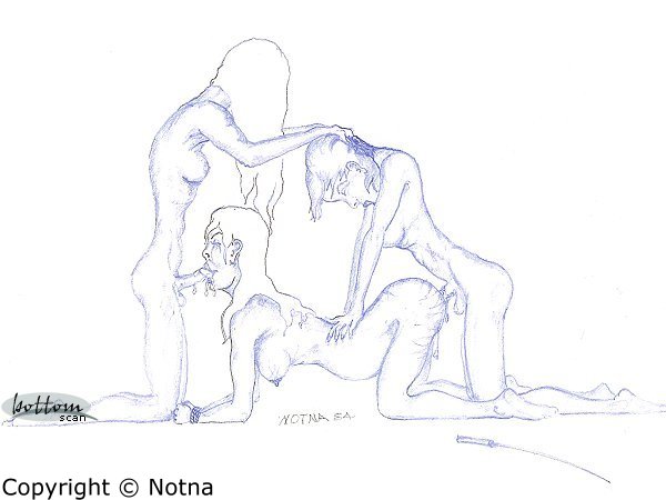 notna 415