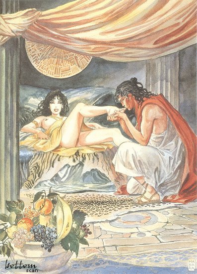 manara o14