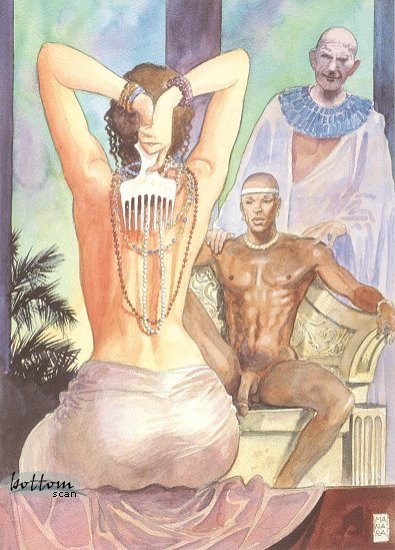 manara o16